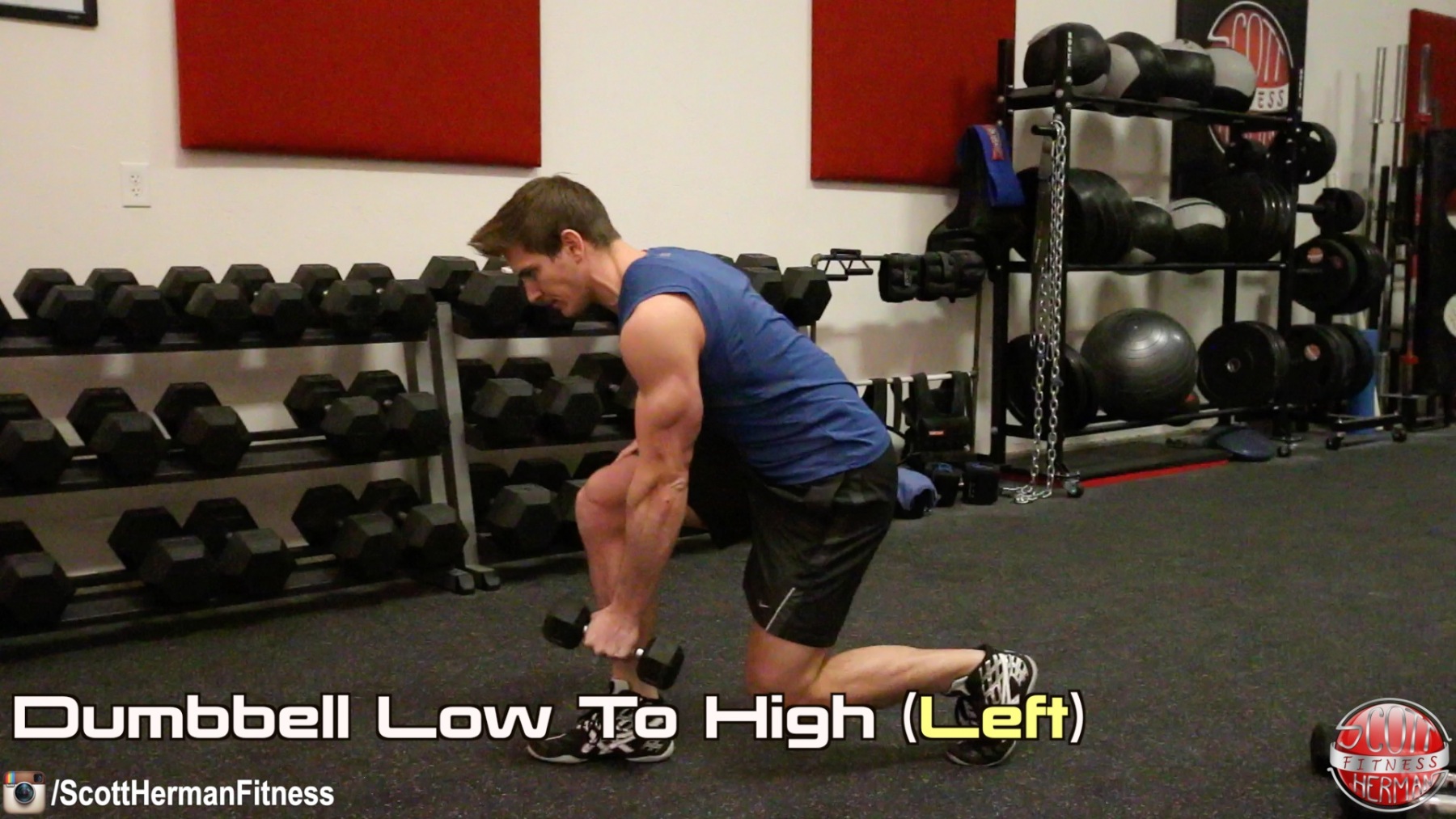 dumbbell-low-to-high-left
