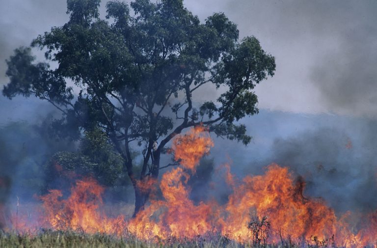 The LEFT Now Says That Wildfires and Hurricanes Are Caused By White Supremacy