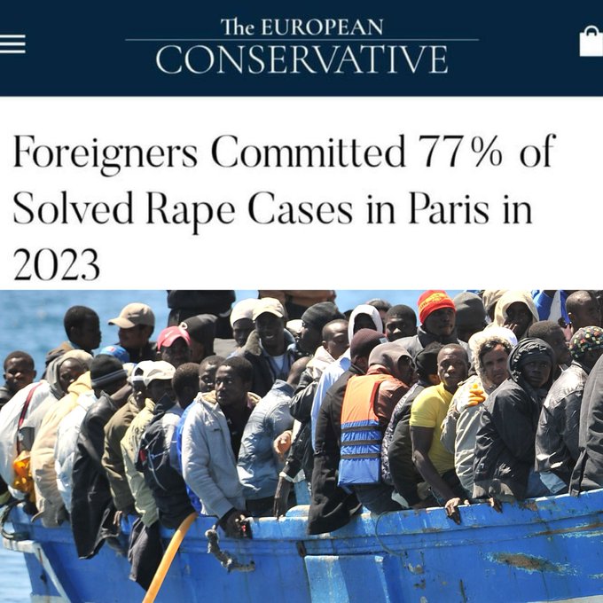 paris rapes caused by foreigners